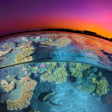 Dusk at the Red Sea Reef